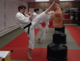 Adult Martial Arts Classes